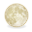 moon, full icon