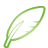 Basic, Green, Quill icon