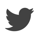 bird, online, social, twitter, communication, media, logo icon