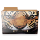 Folder, Tiger icon