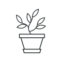 grow, leaves, plant, pot, eco, flower, seed icon