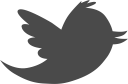 twitter, social, bird, media, tweet icon