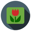 wall icon