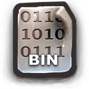 BIN icon