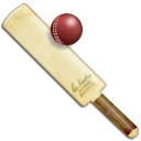 cricket icon