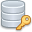 Database, Key icon