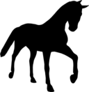 Horse young black silhouette in perspective icon