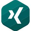 xing, social network icon
