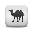 animal,camel icon