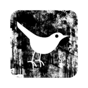 Bird, Square, Twitter icon