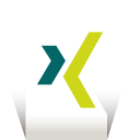 Xing icon