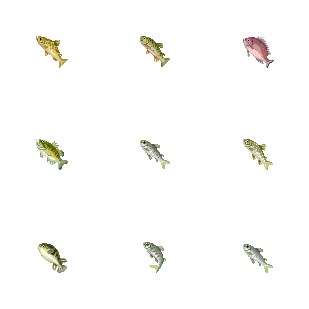 Fish icon sets preview