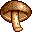 shiitake,mushroom icon