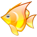 Animal, Fish icon