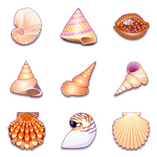 Sea Shells icon sets preview