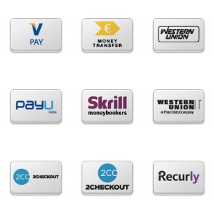 Online Payment Service Providers Buttons icon sets preview