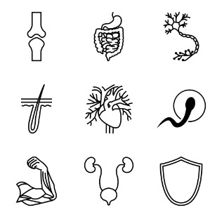 Body Systems icon sets preview