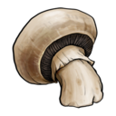 mushroom,fruit,vegetable icon