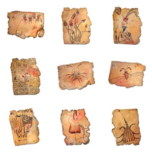 Torineide icon sets preview