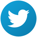 social, twitter, tweet, bird icon