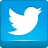 twitter, blue icon