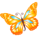 orange, butterfly icon
