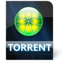 torrent icon