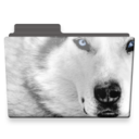 wolf folder icon
