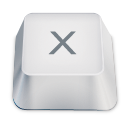 letter uppercase X icon