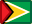 guyana, flag icon