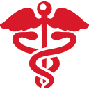 Health Sign red icon