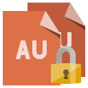 lock, format, file icon
