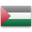 palestine icon