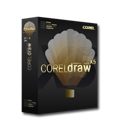 corel, draw icon
