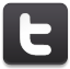 social, social network, sn, twitter icon
