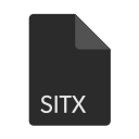 extension, sitx, file, format icon