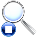 Viewmagfit icon