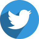 social, letter, network, media, twit, twitter, bird icon
