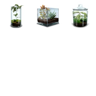 Terrariums icon sets preview