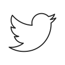 communication, online, logo, twitter, bird, media, social icon